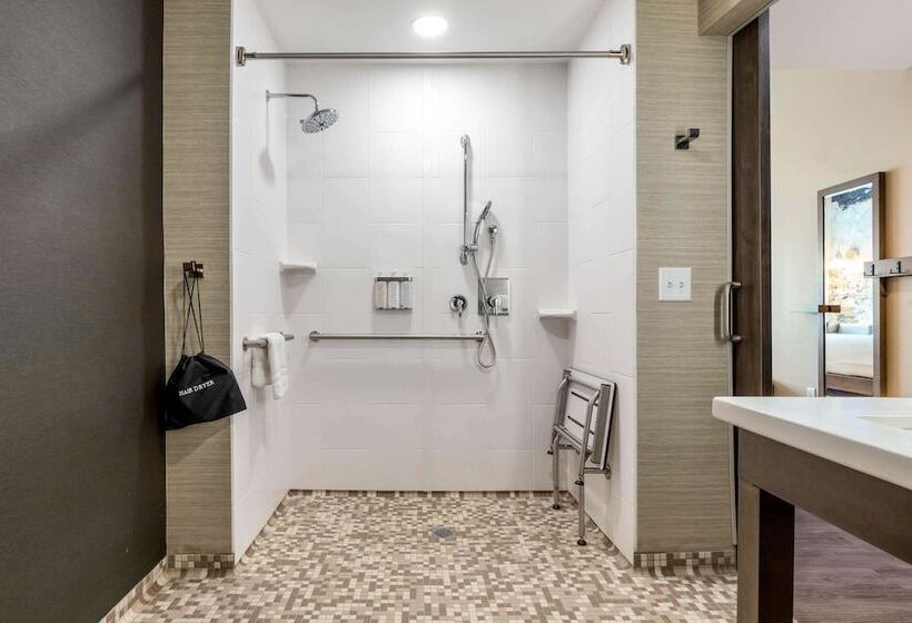 Люкс Адаптированный для Инвалидов, Cambria Hotel Fort Mill