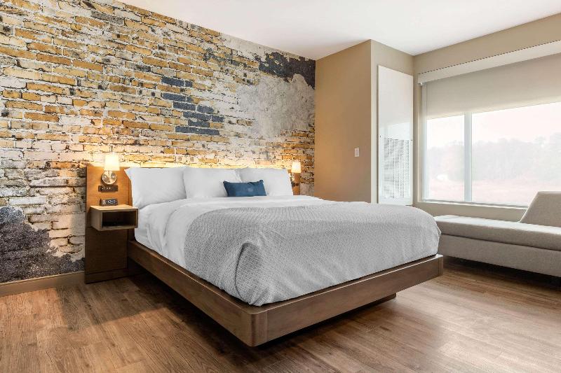 Люкс Адаптированный для Инвалидов, Cambria Hotel Fort Mill
