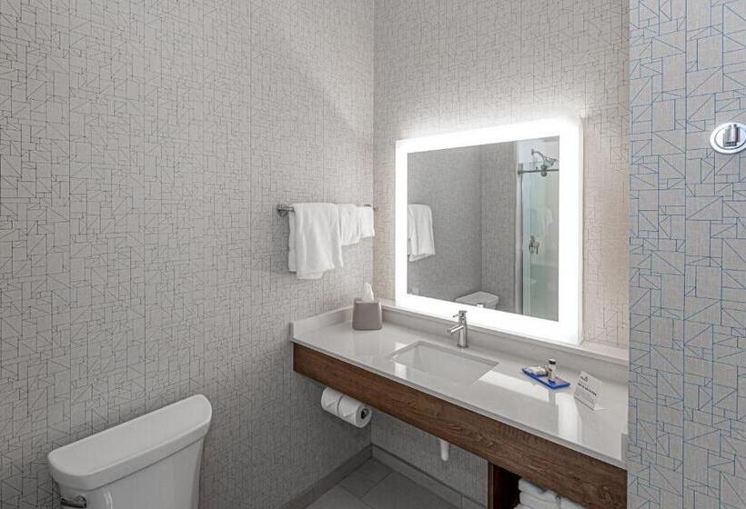 带大床的套房, Holiday Inn Express & Suites   Columbus   Worthington, An Ihg