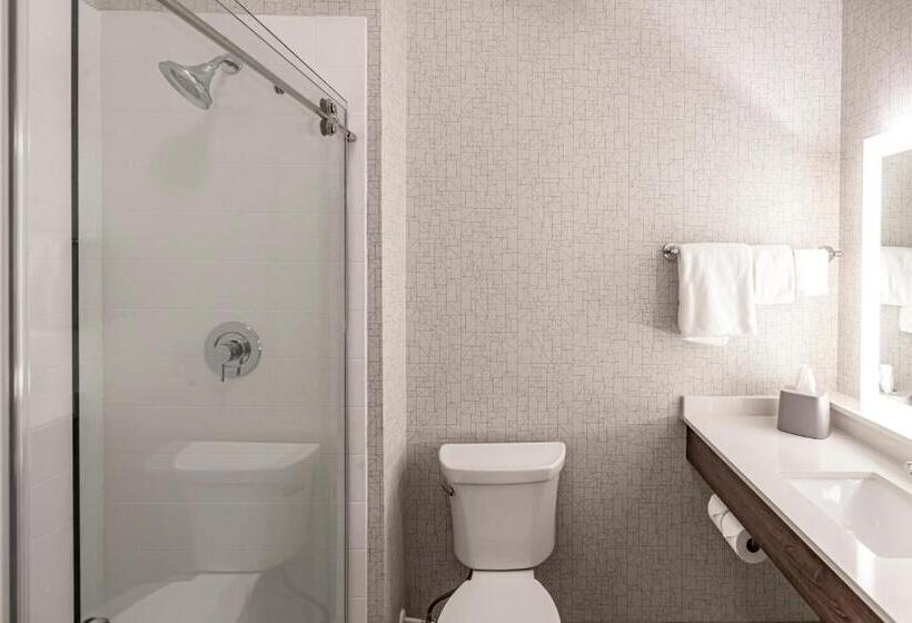 适合残疾人士使用的套间, Holiday Inn Express & Suites   Columbus   Worthington, An Ihg