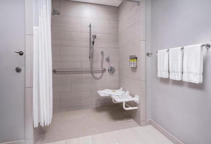 Номер Стандарт Кровать Кинг Адаптированный для Инвалидов, Holiday Inn Express & Suites   Odessa I 20, An Ihg