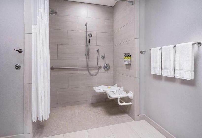 Номер Стандарт Кровать Кинг Адаптированный для Инвалидов, Holiday Inn Express & Suites   Odessa I 20, An Ihg