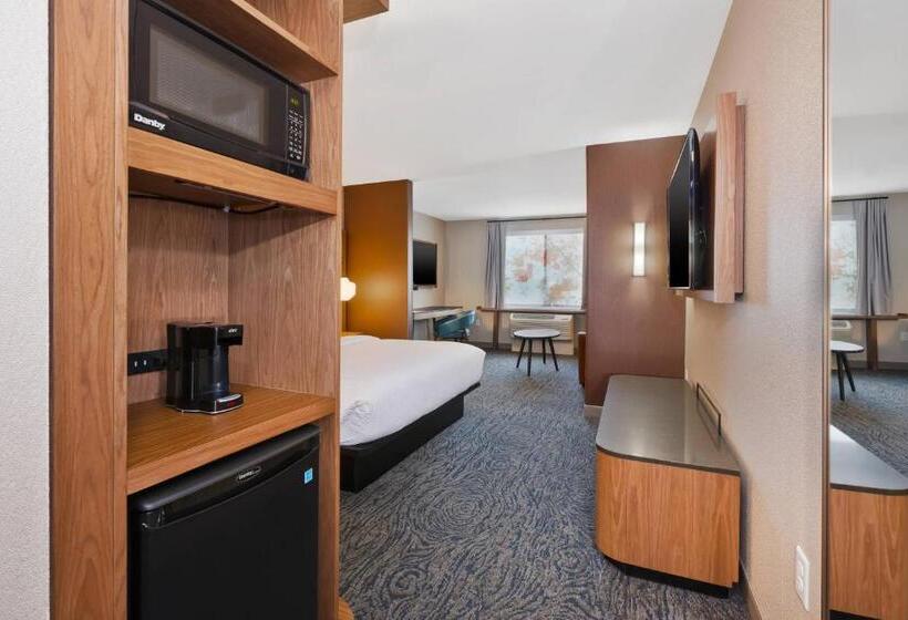 استودیو استاندارد با تخت کینگ, Fairfield Inn & Suites By Marriott Kalamazoo