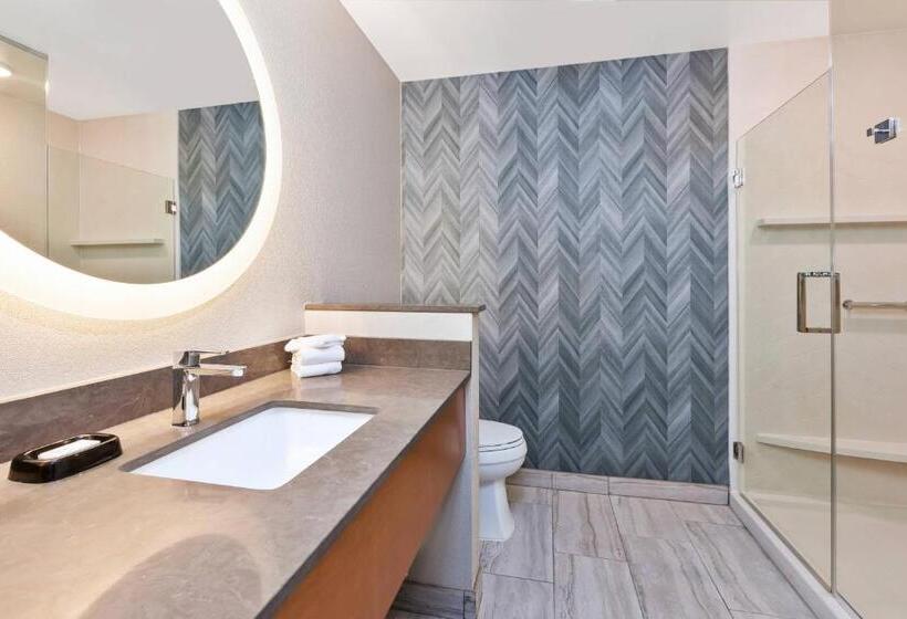 اتاق استاندارد با تخت بزرگ, Fairfield Inn & Suites By Marriott Kalamazoo