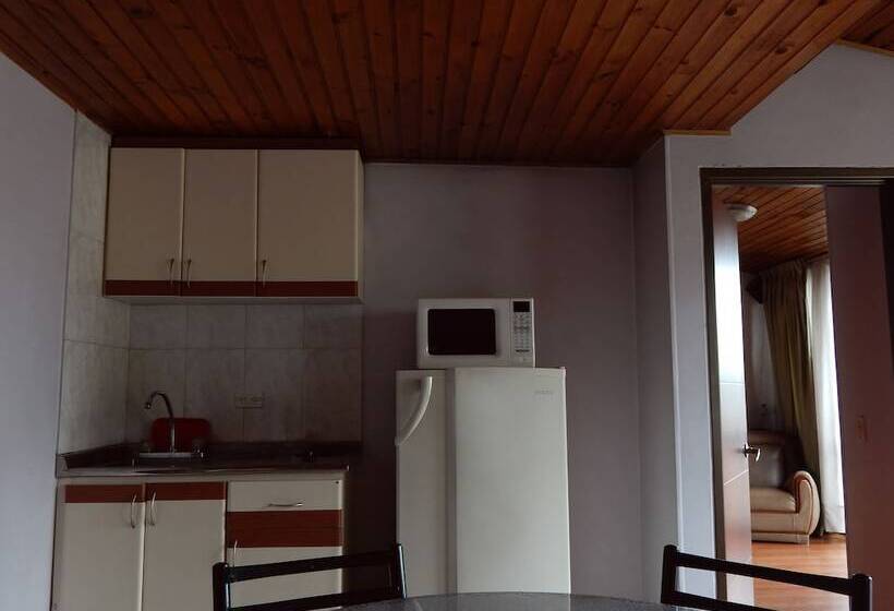 آپارتمان سوپریور 1 خوابه, Apartamentos Galerías