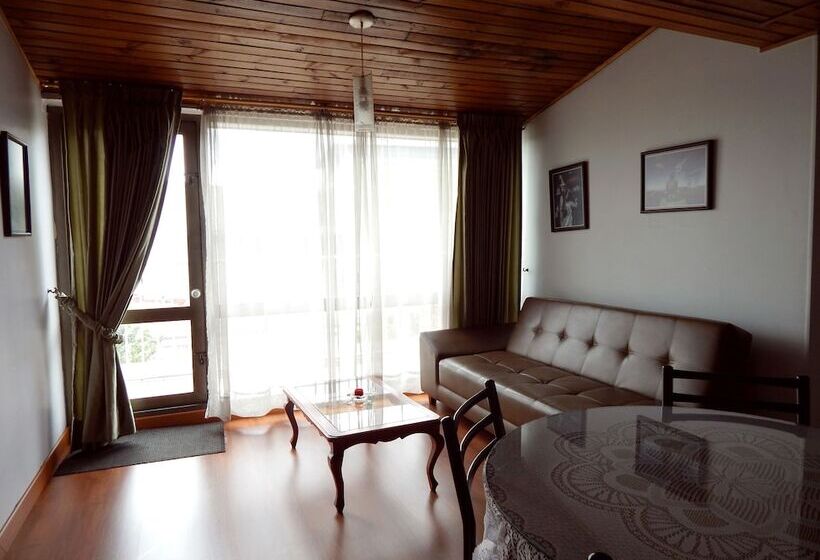 آپارتمان سوپریور 1 خوابه, Apartamentos Galerías