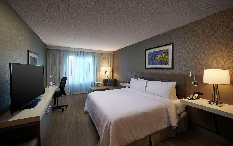 シングルデラックスルーム, Hilton Garden Inn St. John S Newfoundland, Canada