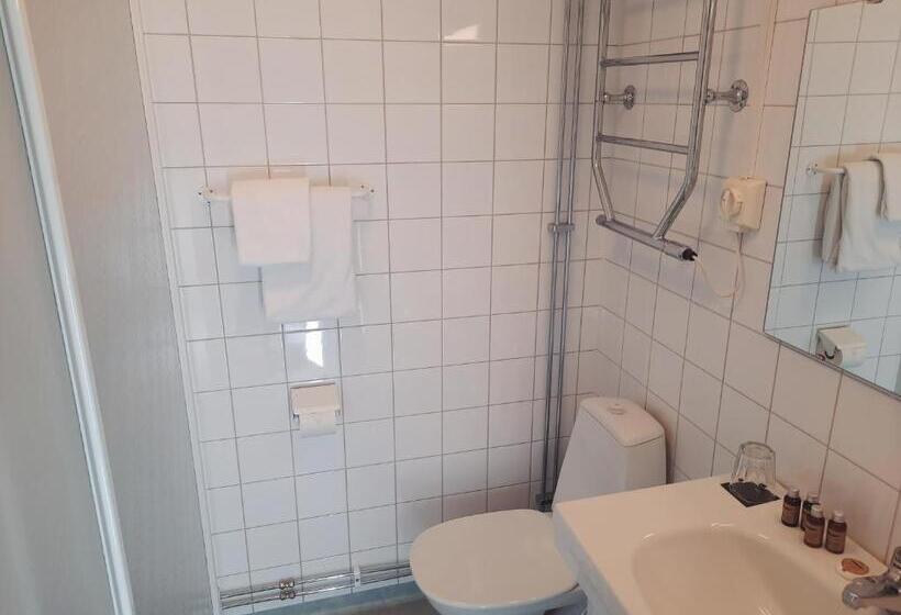 Egyágyas Economy Szoba, First Hotel Statt