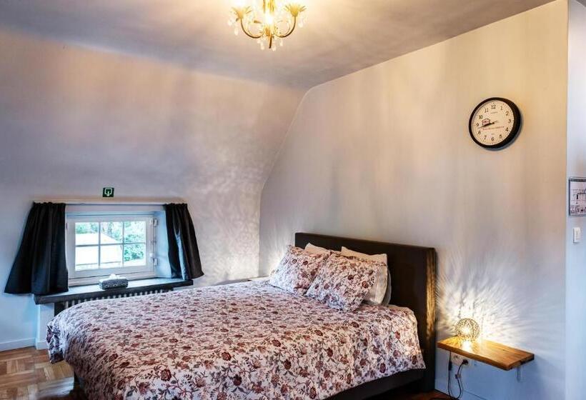 스탠다드 스튜디오, Rose House B&b