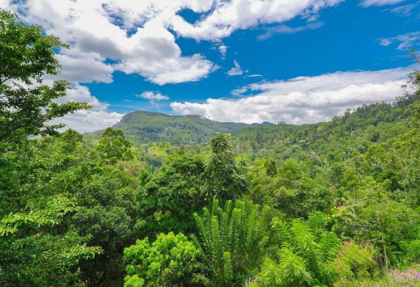 Quarto Deluxe Vista Montanha, Zircon Ella