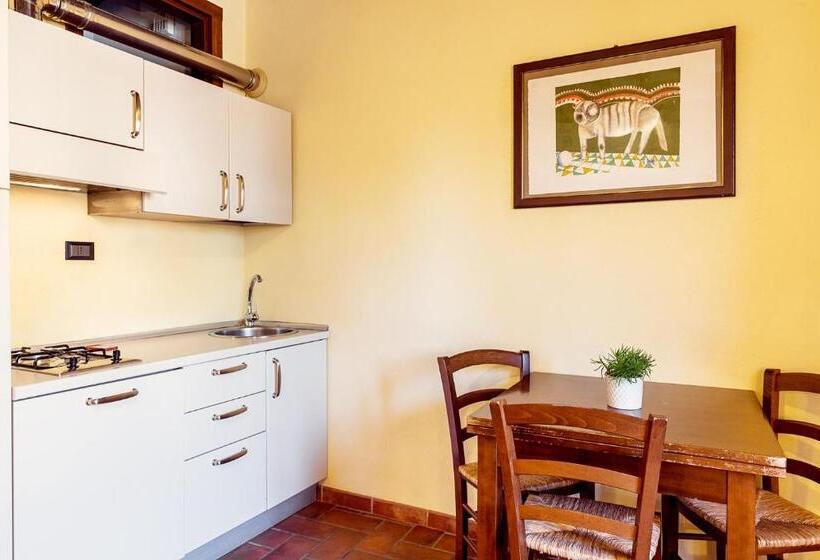 スタンダードスタジオ, Massa Alta B&b E Appartamenti
