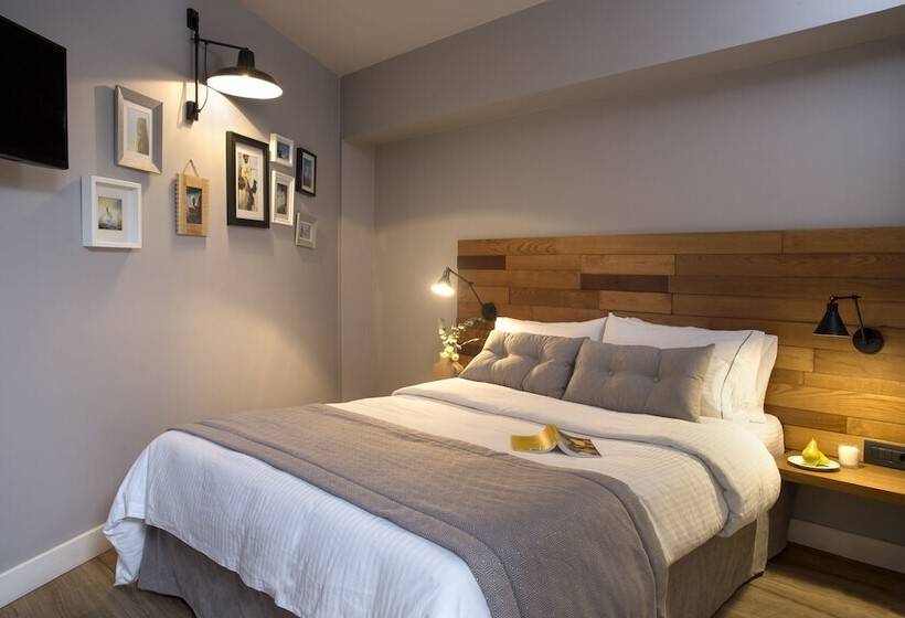 سوئیت پریمیوم, Apollon Library Suites