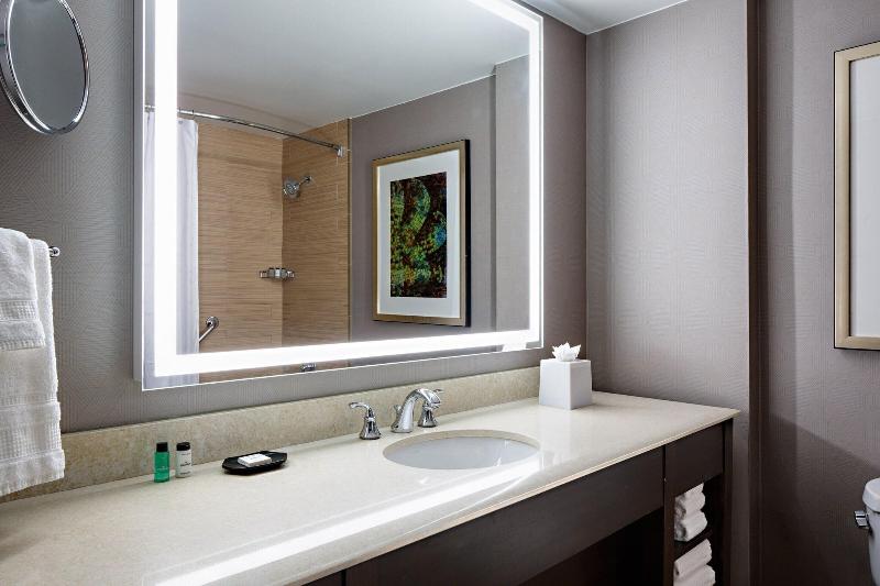חדר סטנדרט עם מיטת קינג, Sheraton Dallas