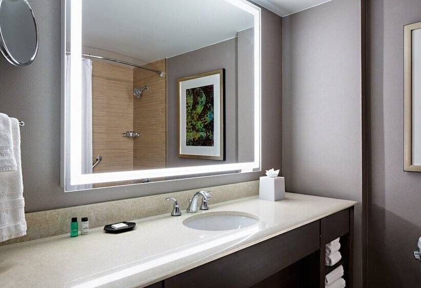 סוויטת ג'וניור, Sheraton Dallas