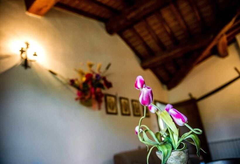 １ベッドルームアパートメント, Agriturismo Palazzo Conti   B