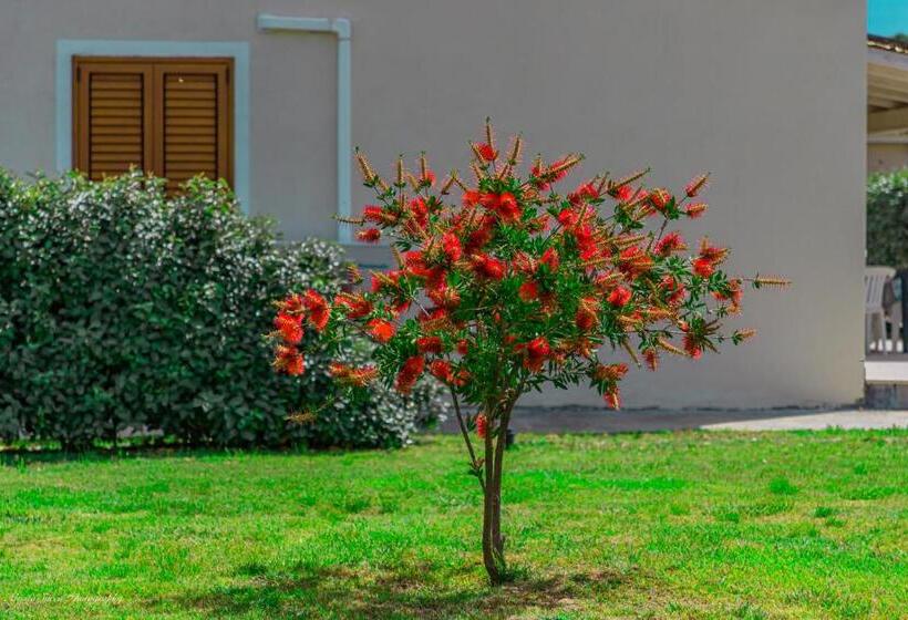 Апартаменты 3 Спальни, Stella Marina Camere Sul Mare