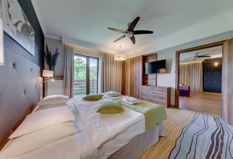 اتاق استاندارد یک تخته با بالکن, Mineral Hotel Malinowy Raj