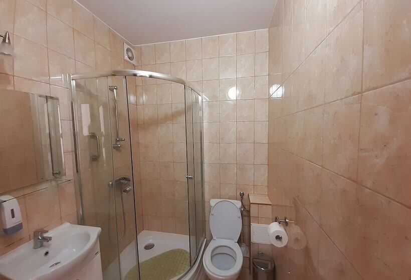 اتاق استاندارد, Pensjonat Zielone Wzgórze W Bolesławowie