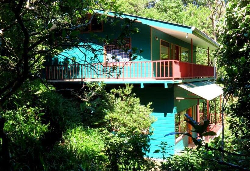آپارتمان 1 خوابه, Hospedaje Mariposa