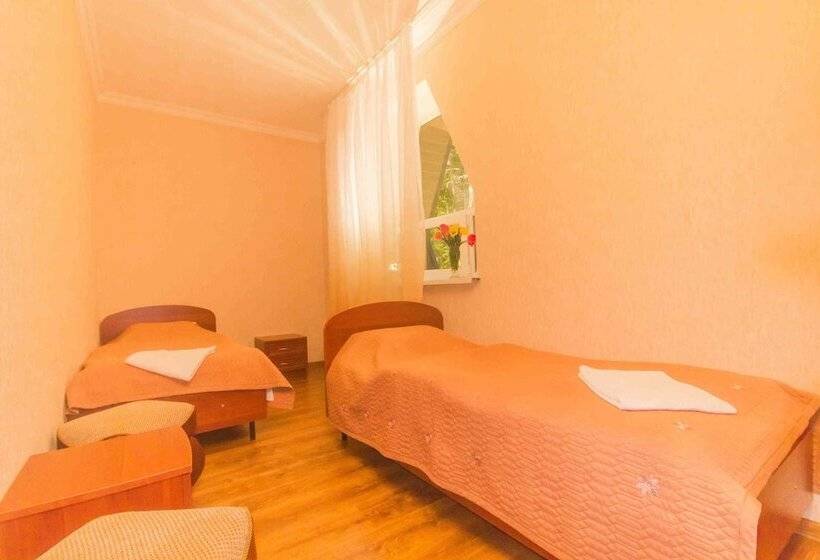 Номер Стандарт, Sosnoviy Bor