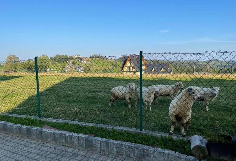 اتاق استاندارد سه نفره, Pensjonat Sekuła