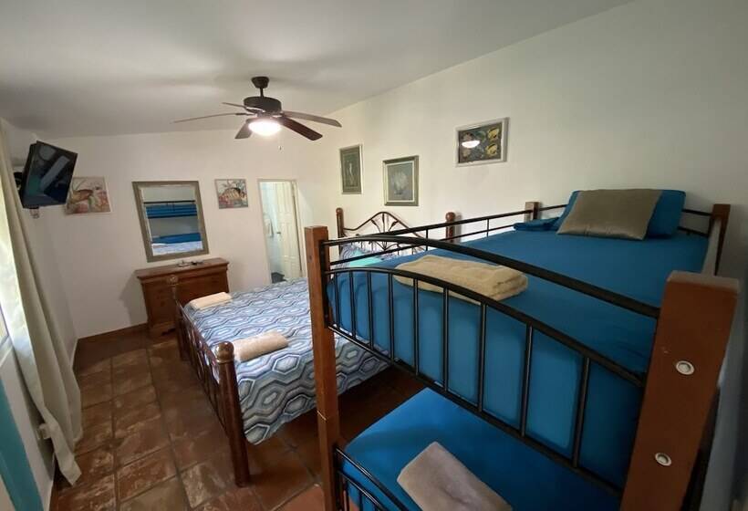 Четырехместный Номер Deluxe, Las Catalinas Coronado