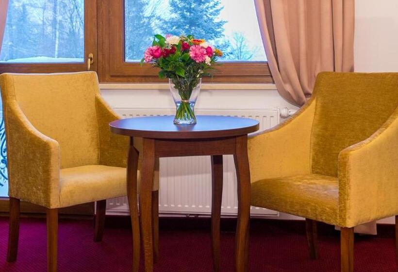 اتاق استاندارد, Buczyńskimedical&spa
