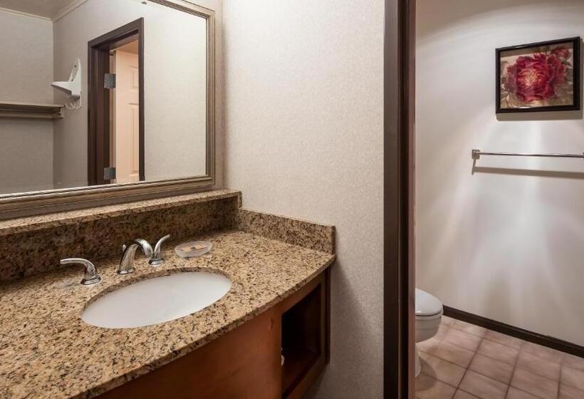 Стандартный Номер Кровать Кинг, Apple Tree Inn; Surestay Collection By Best Western