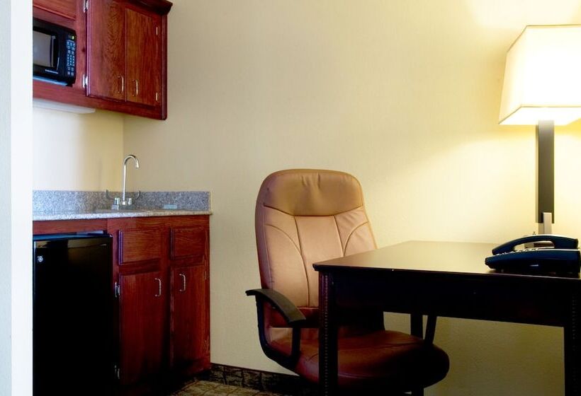 Номер Стандарт, Holiday Inn Express Hotel & Suites Dallas Fort Worth Airport South, An Ihg