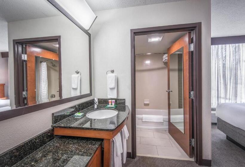 Номер Стандарт, Hyatt Place Columbia/harbison