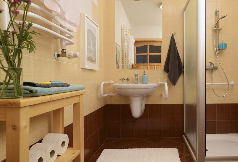 آپارتمان خانواده 1 خوابه, Apartamenty Apartart Zakopane