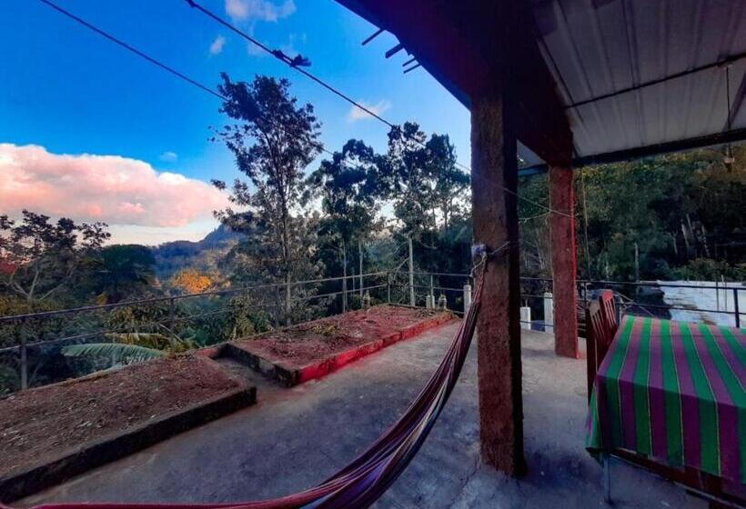家庭山景房, Ella New Green View