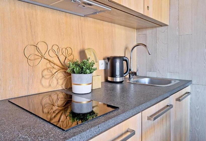 آپارتمان لوکس 1 خوابه, Monte House Apartments Odkryj Zakopane
