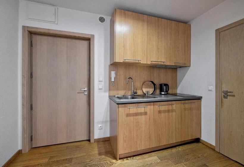 آپارتمان 1 خوابه همکف, Monte House Apartments Odkryj Zakopane