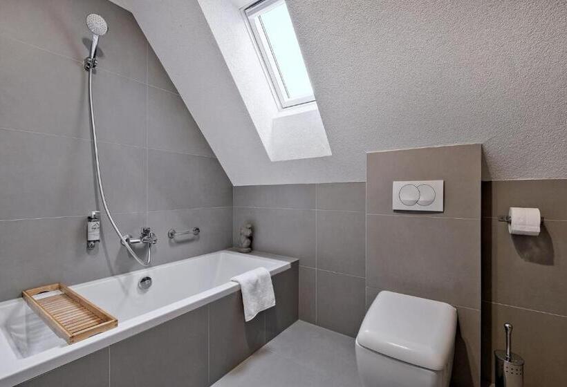 استودیو استاندارد با بالکن, Monte House Apartments Odkryj Zakopane