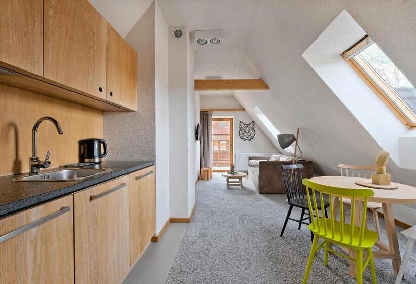 استودیو استاندارد با بالکن, Monte House Apartments Odkryj Zakopane
