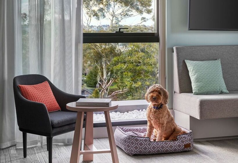 Номер Стандарт Двуспальная Кровать с Видом, Element Melbourne Richmond