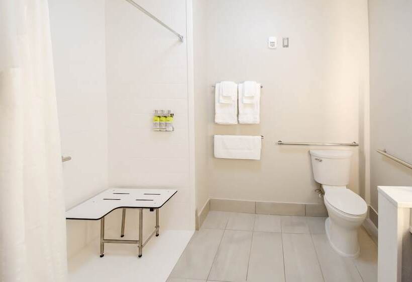 Номер Стандарт Адаптированный для Инвалидов, Holiday Inn Express & Suites Taylor, An Ihg