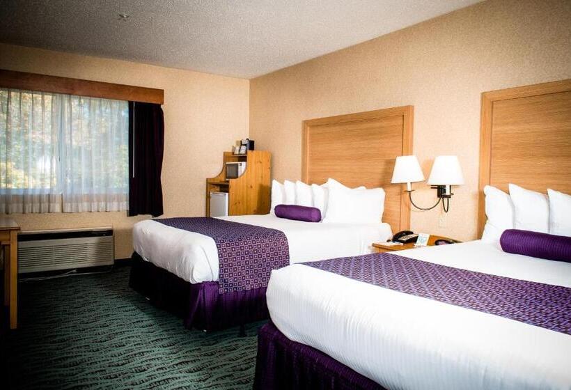 标准间, Best Western Plus Executive Court Inn & Conference Center