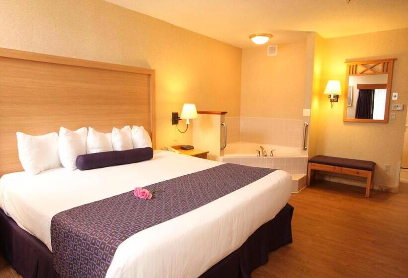 带大床的标准间, Best Western Plus Executive Court Inn & Conference Center