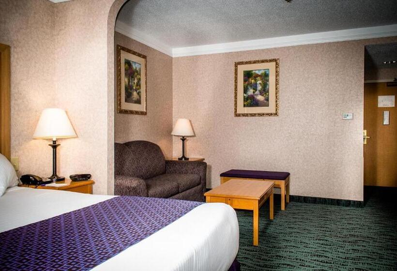 带大床的标准间, Best Western Plus Executive Court Inn & Conference Center