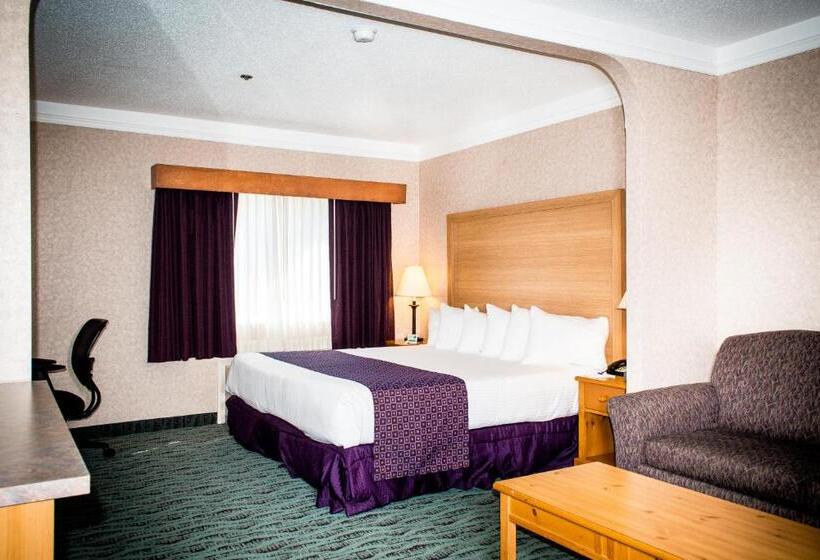 带大床的标准间, Best Western Plus Executive Court Inn & Conference Center