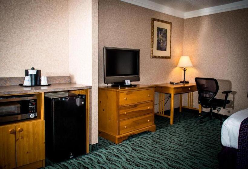 标准间, Best Western Plus Executive Court Inn & Conference Center