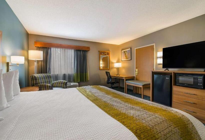 适合残疾人士使用的带超级大床的标准间, Best Western Plus Executive Court Inn & Conference Center