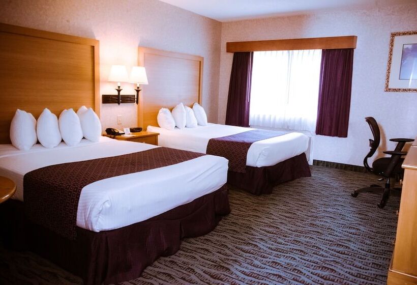 套房, Best Western Plus Executive Court Inn & Conference Center