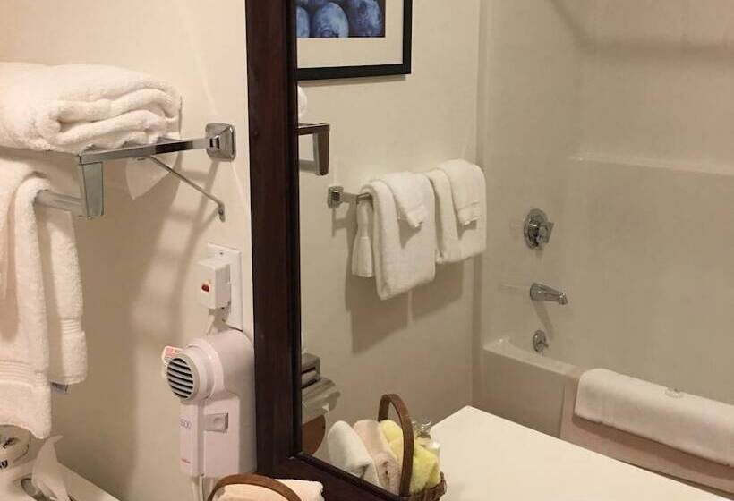 Номер Стандартный Кровать Куин, Camden Riverhouse Hotel And Inn