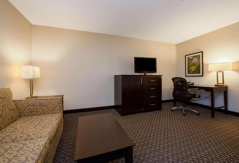 디럭스 스튜디오, La Quinta By Wyndham Cleveland Macedonia