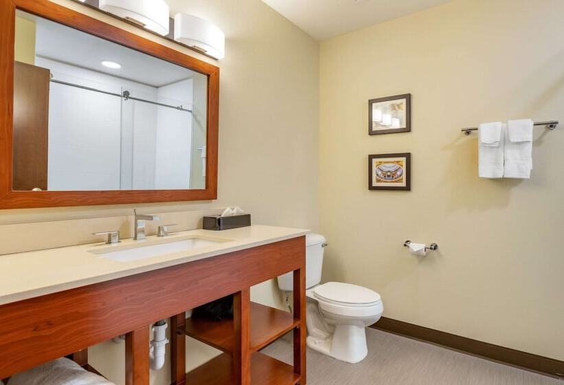 Люкс, Comfort Inn & Suites West Des Moines