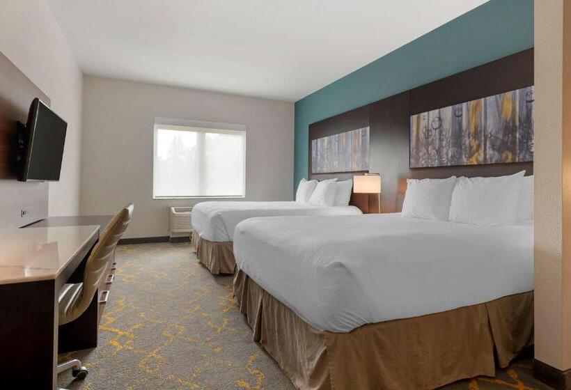 Люкс Адаптированный для Инвалидов, Best Western Plus Isanti