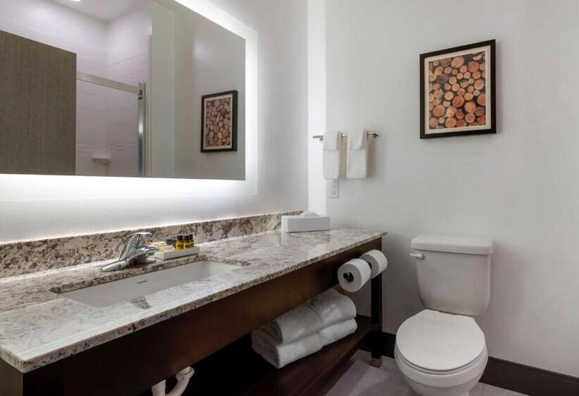 Люкс Кровать Квин, Best Western Plus Isanti